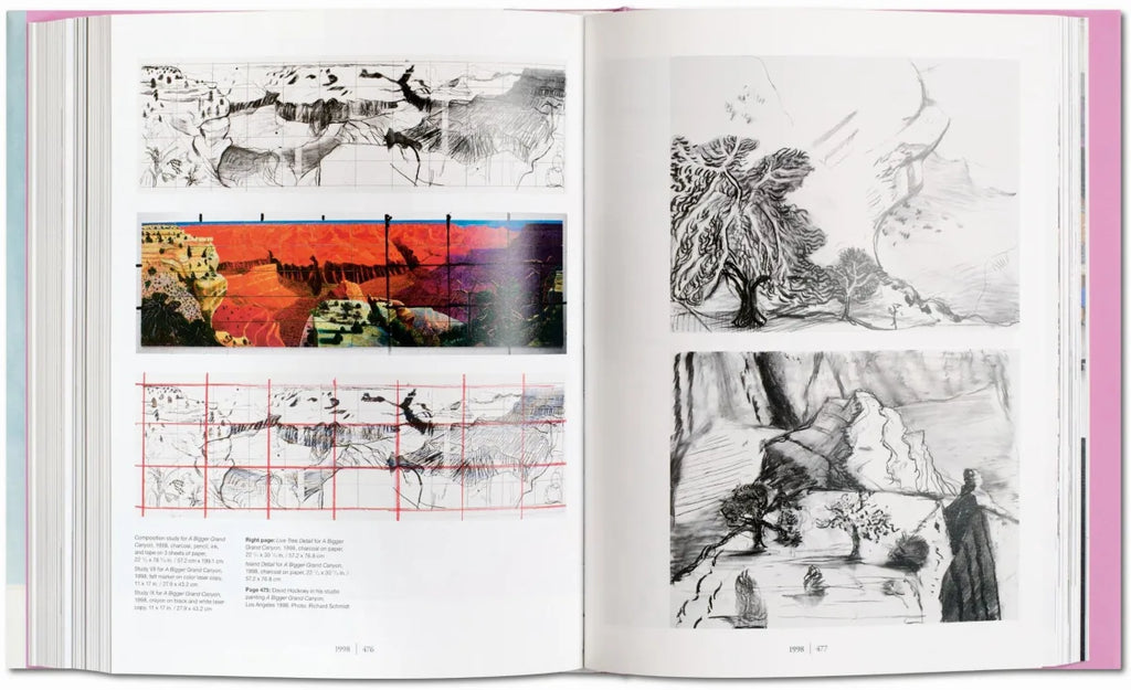DAVID HOCKNEY: A Bigger Book