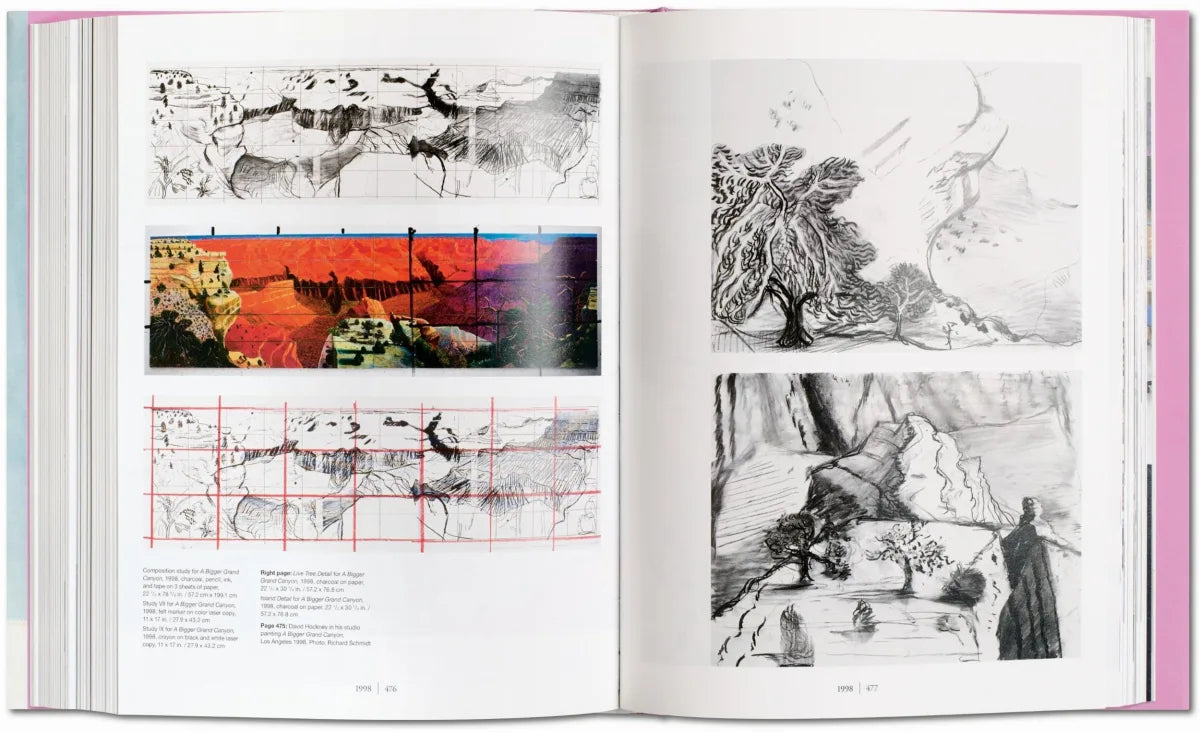 DAVID HOCKNEY: A Bigger Book