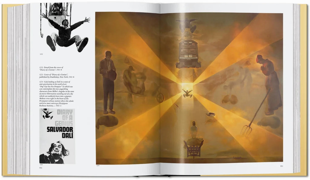 DALÍ: The Painting