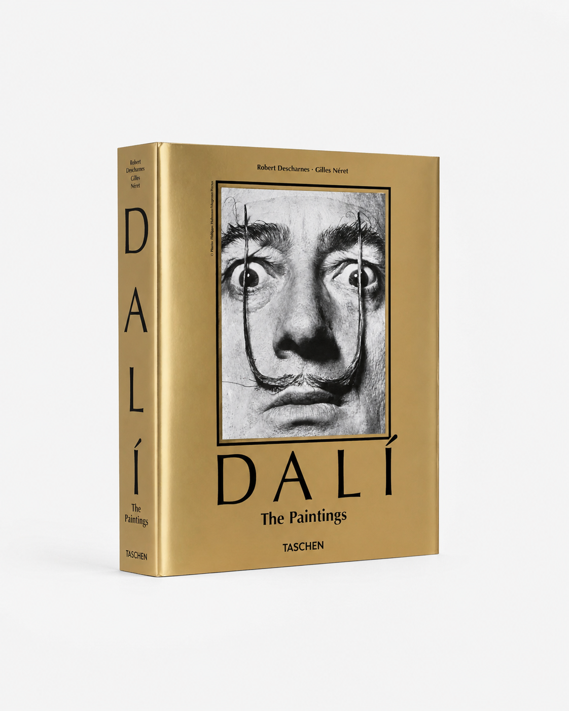 DALÍ: The Painting