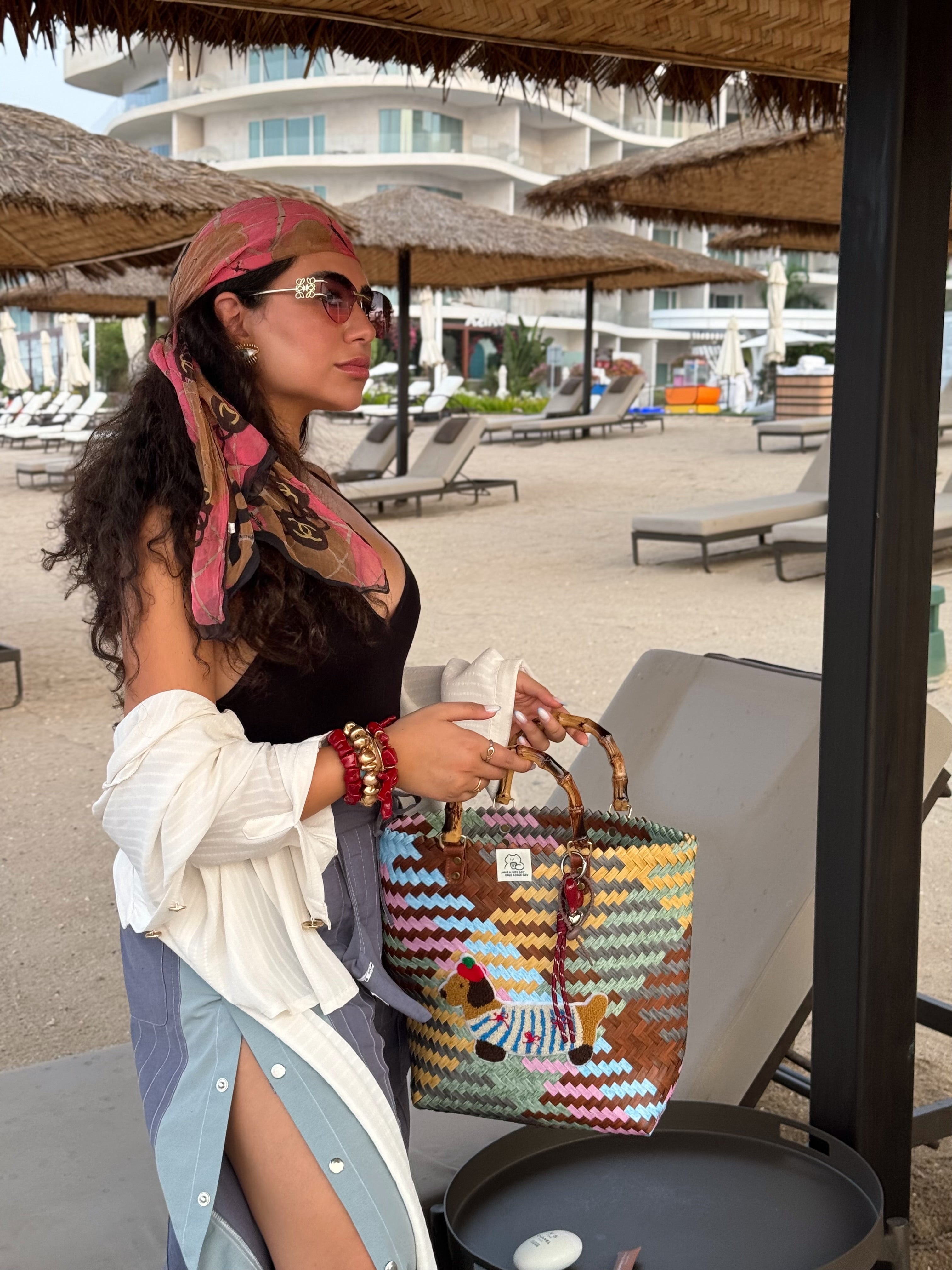 Woven Puppy Beach Bag Colorful