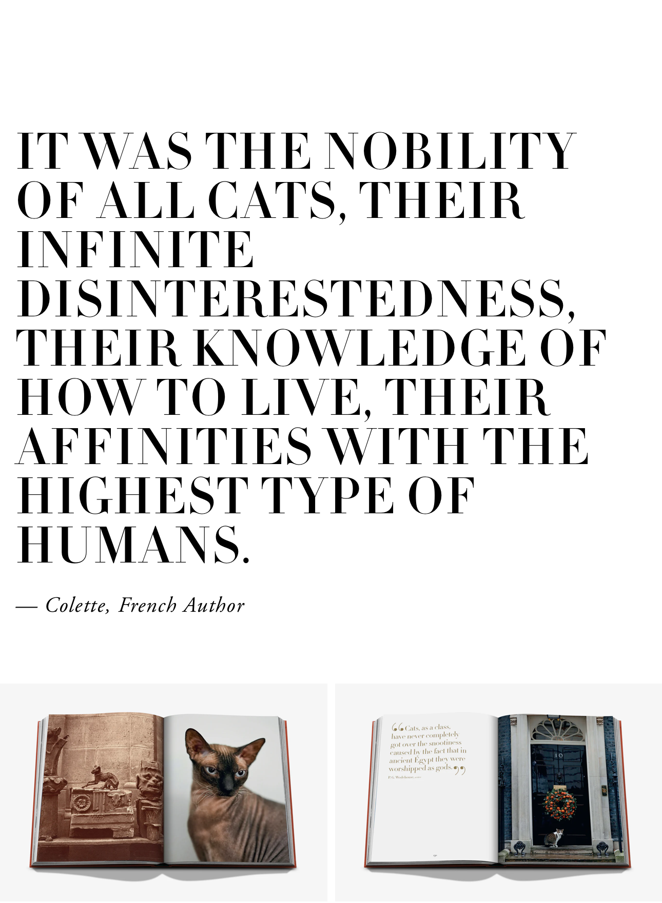 CHIC CATS