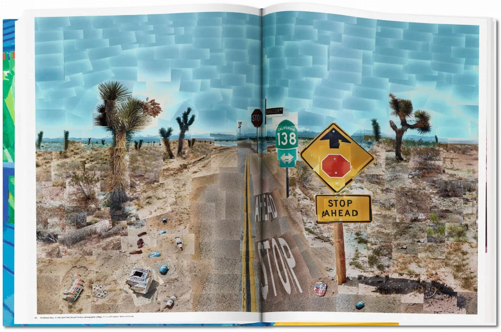 DAVID HOCKNEY: A Bigger Book