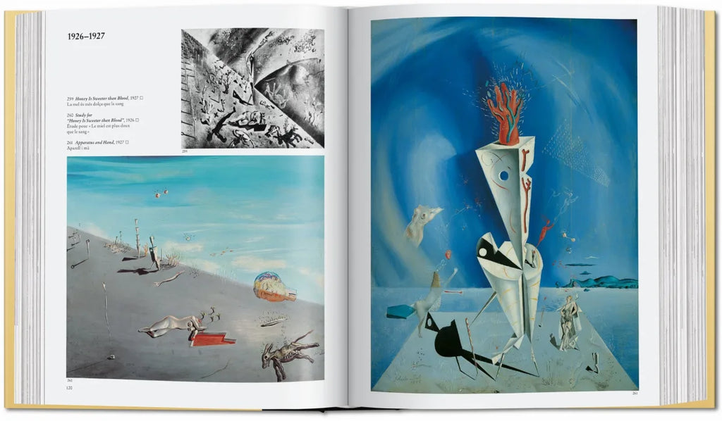DALÍ: The Painting