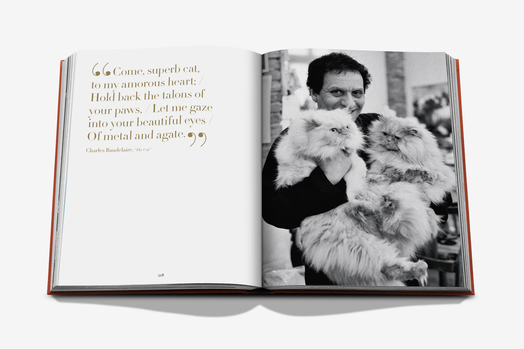 CHIC CATS