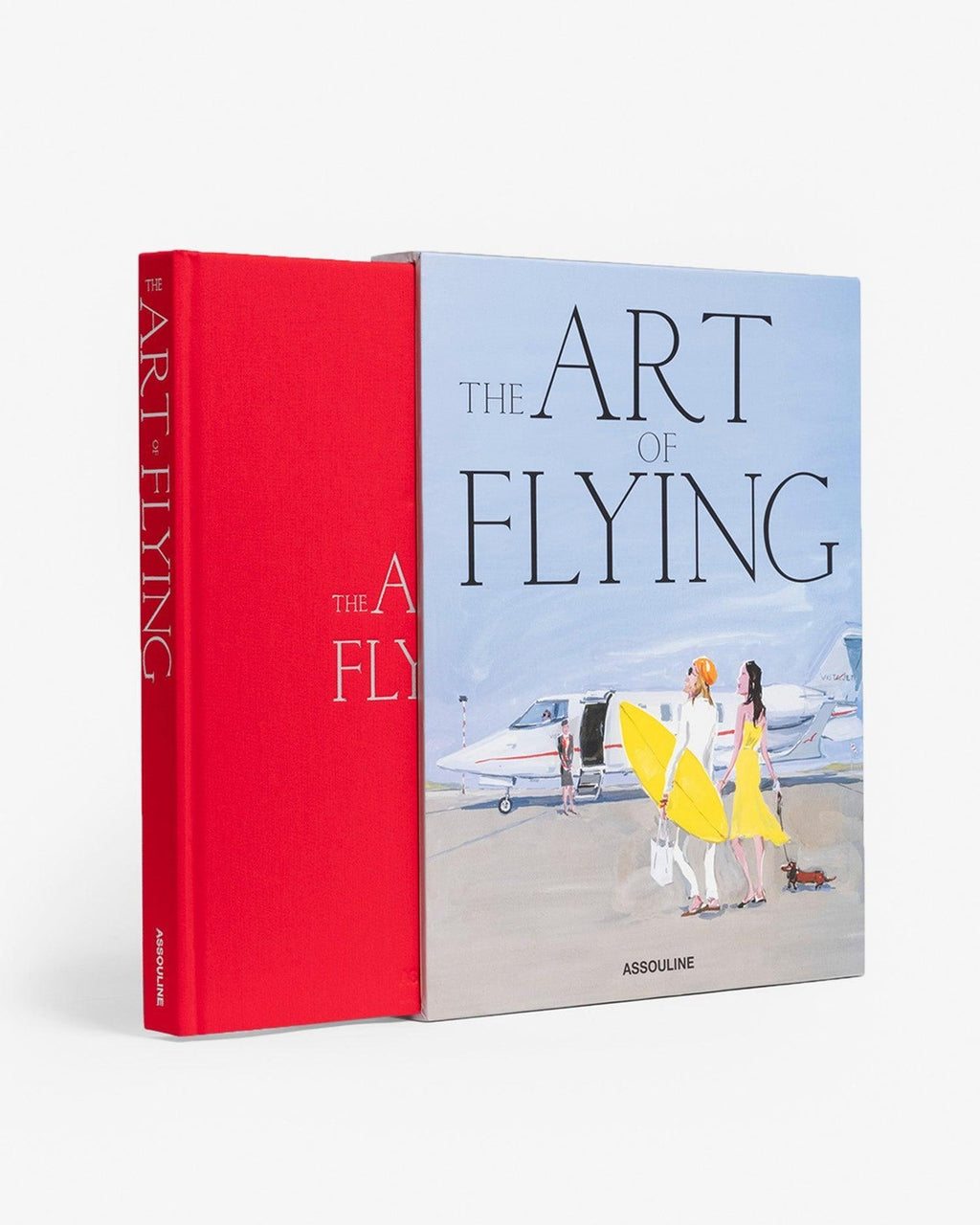 THE ART OF FLYING
