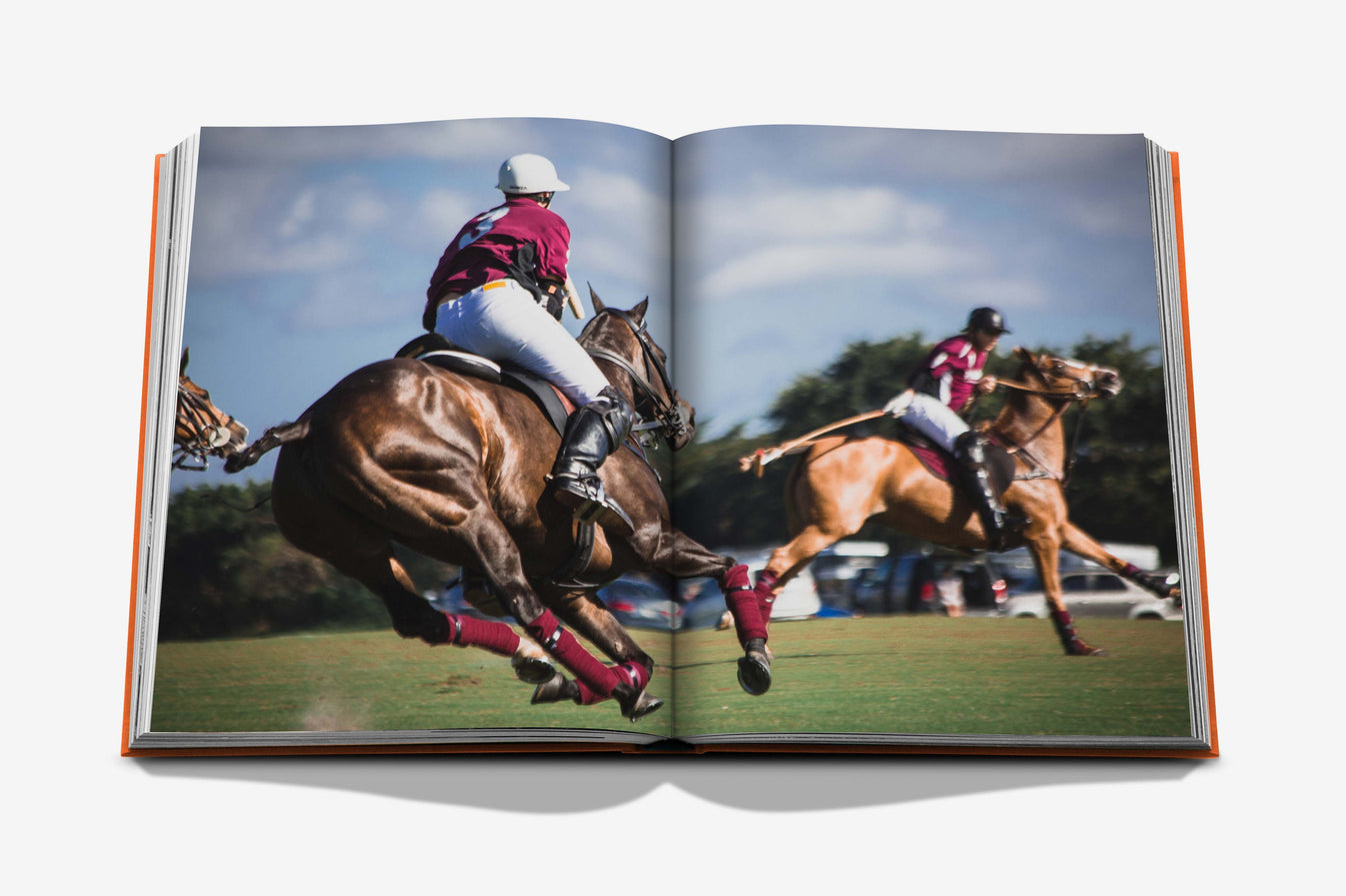 WELLINGTON: The World Of Horses