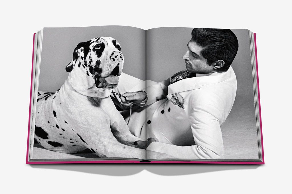 CHIC DOGS