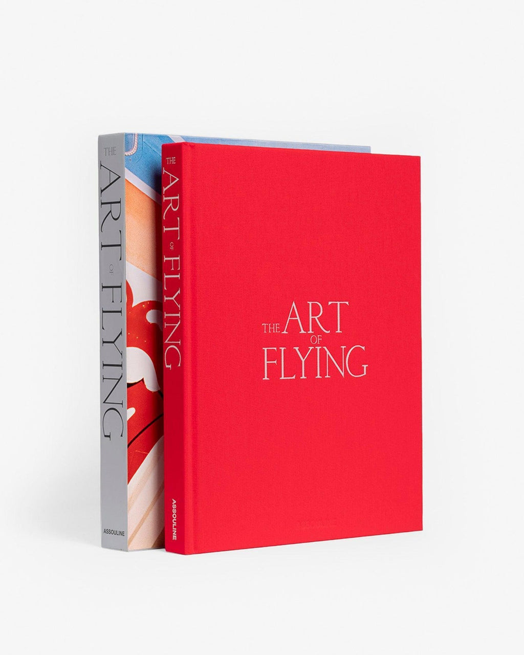 THE ART OF FLYING