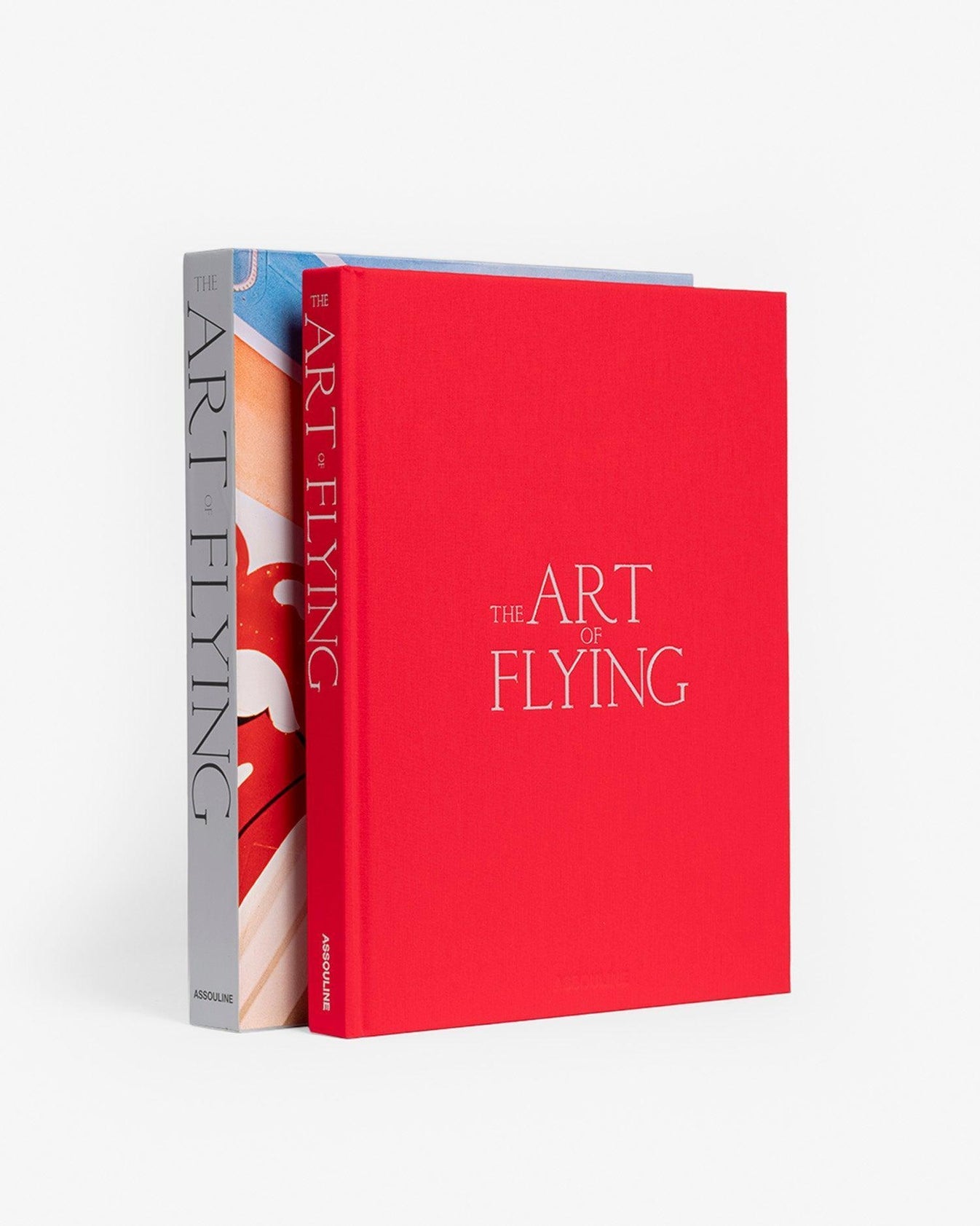 THE ART OF FLYING