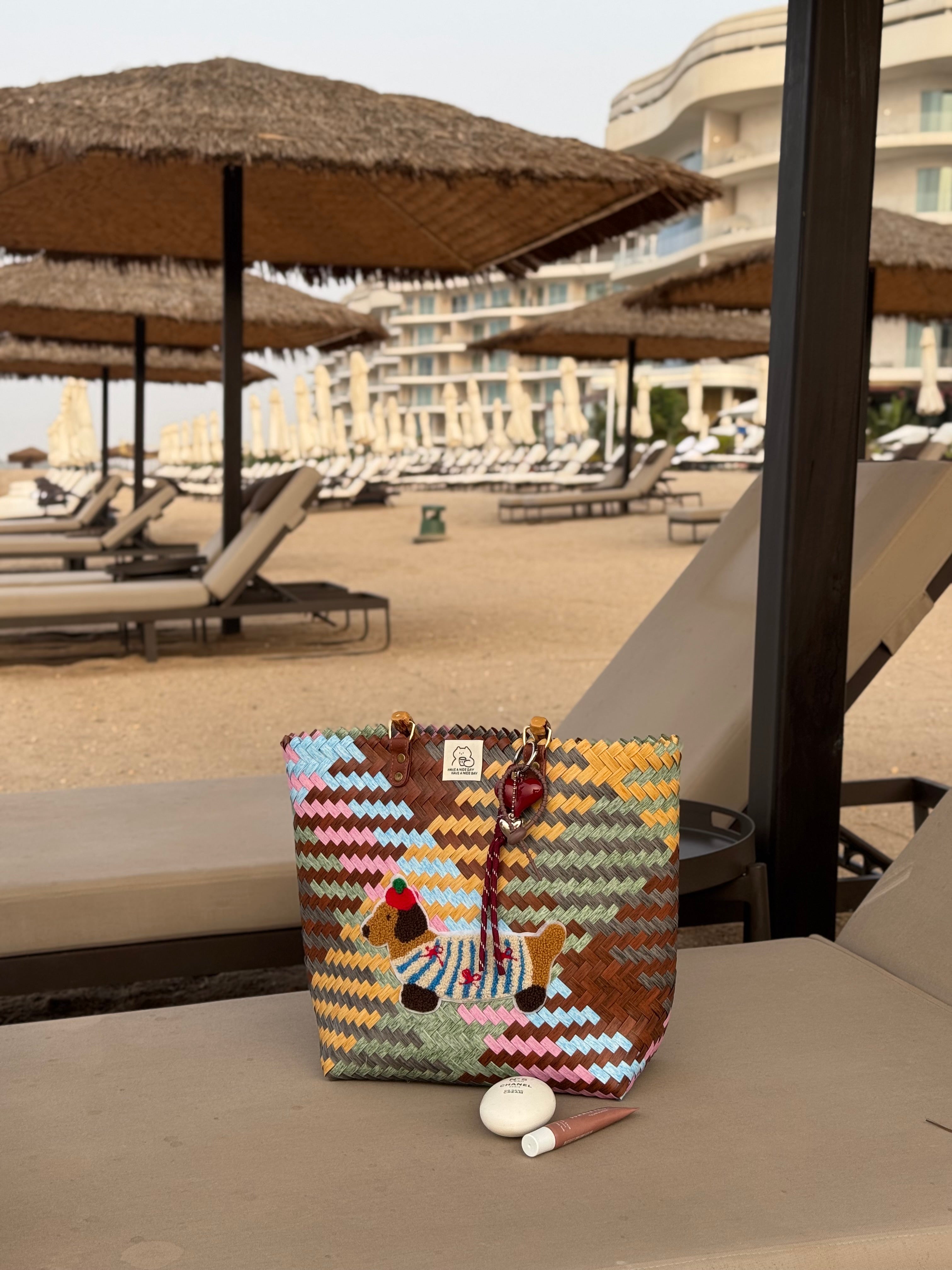 Woven Puppy Beach Bag Colorful