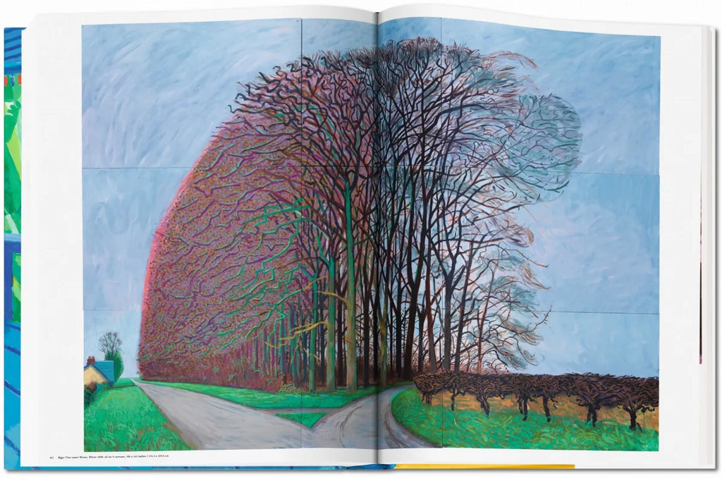 DAVID HOCKNEY: A Bigger Book
