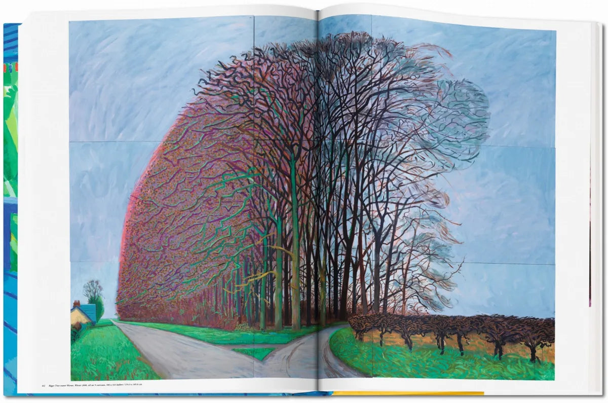 DAVID HOCKNEY: A Bigger Book